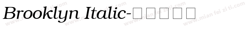 Brooklyn Italic字体转换